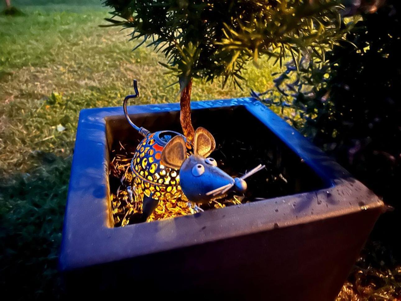 Tree Apartment